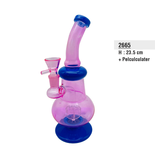 Gass Bong in Paars + Babyblauw