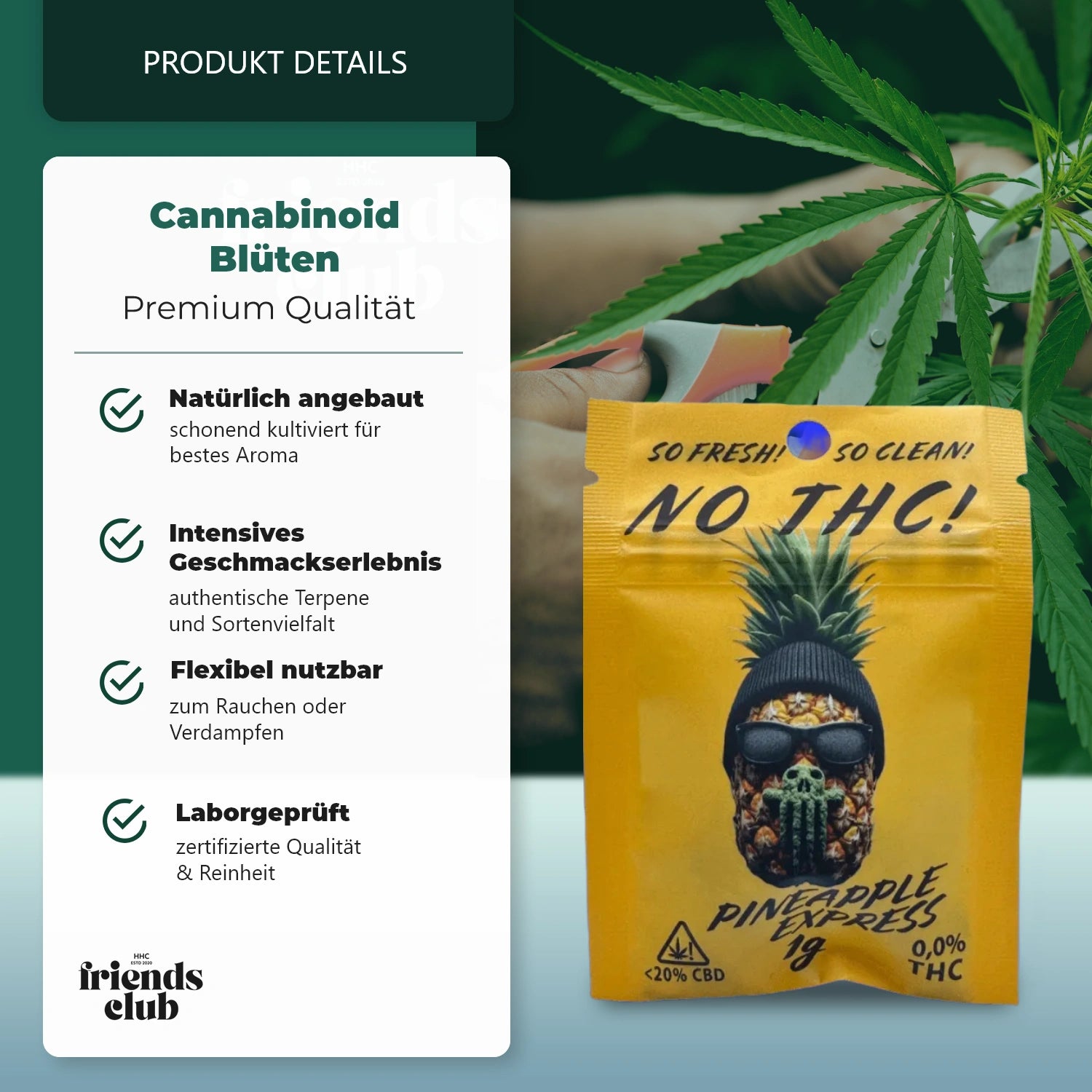 CBD Blüten THC Frei Pineapple Express 20% 1g-HHCFriends