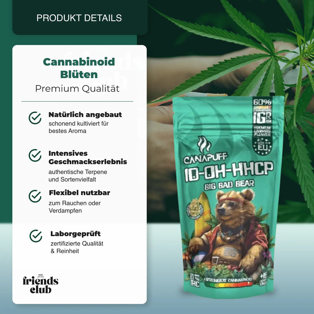 10-OH-P Blüten Big Bad Bear 60% - hhcfriends