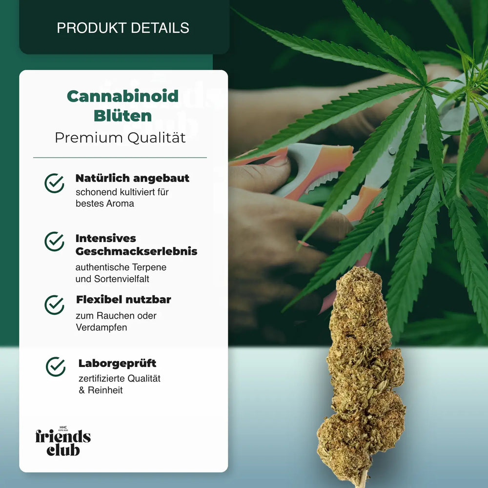 PHCP Blüte Strawberry - hhcfriends