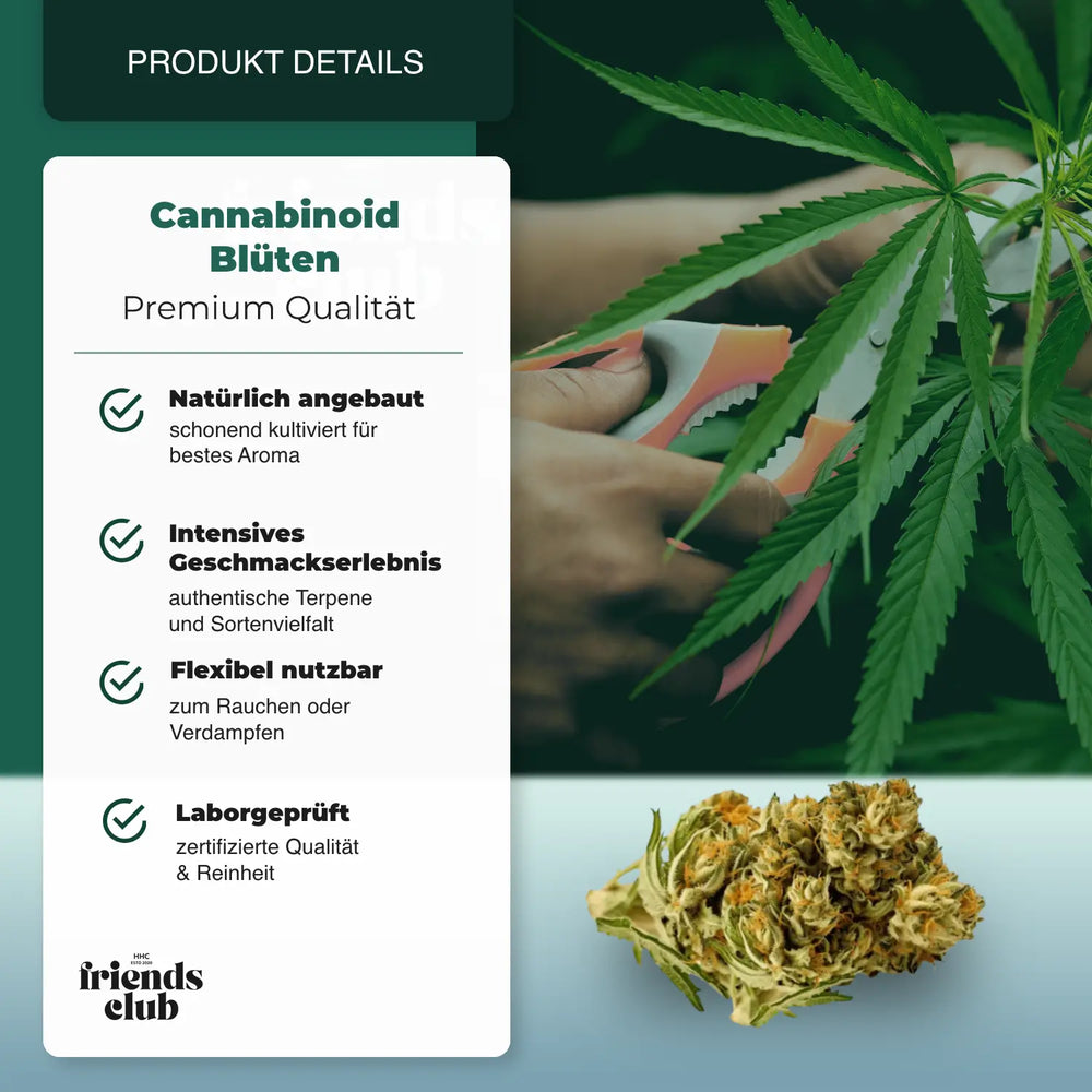 PHC Blüten Plutonium 25% - hhcfriends