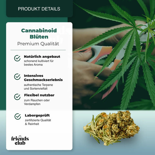 PHC Blüten Plutonium 25% - hhcfriends