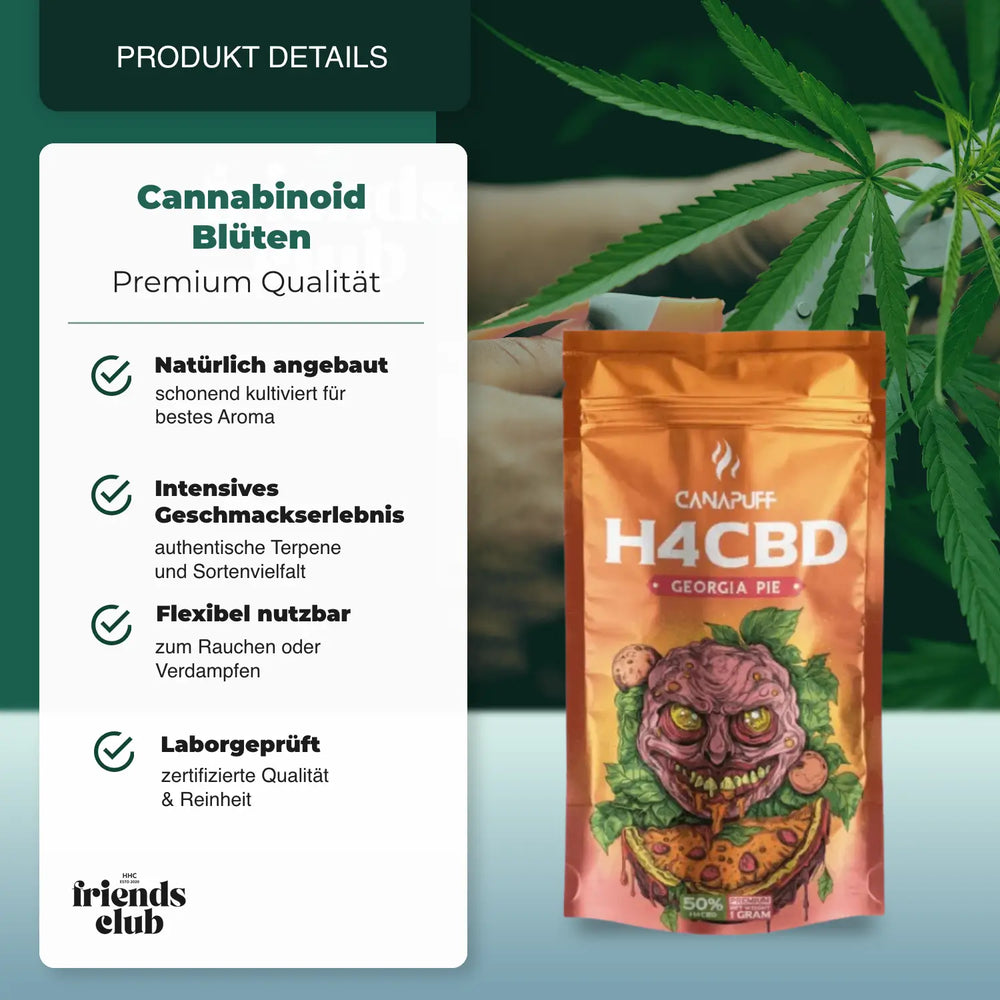 H4CBD Georgia Pie 50% HHCFriends