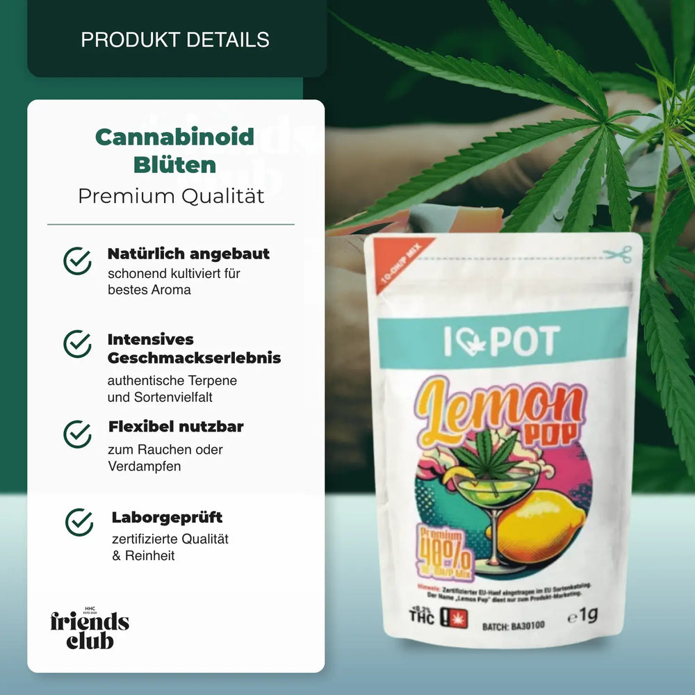 10-OH-Mix Blüten Lemon Pop - hhcfriends