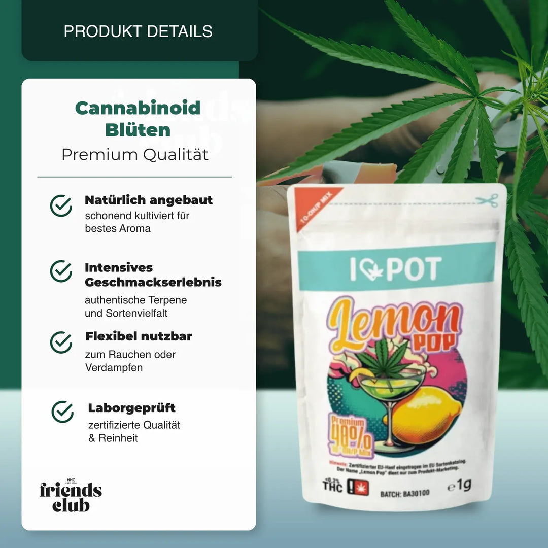 10-OH-Mix Blüten Lemon Pop - hhcfriends