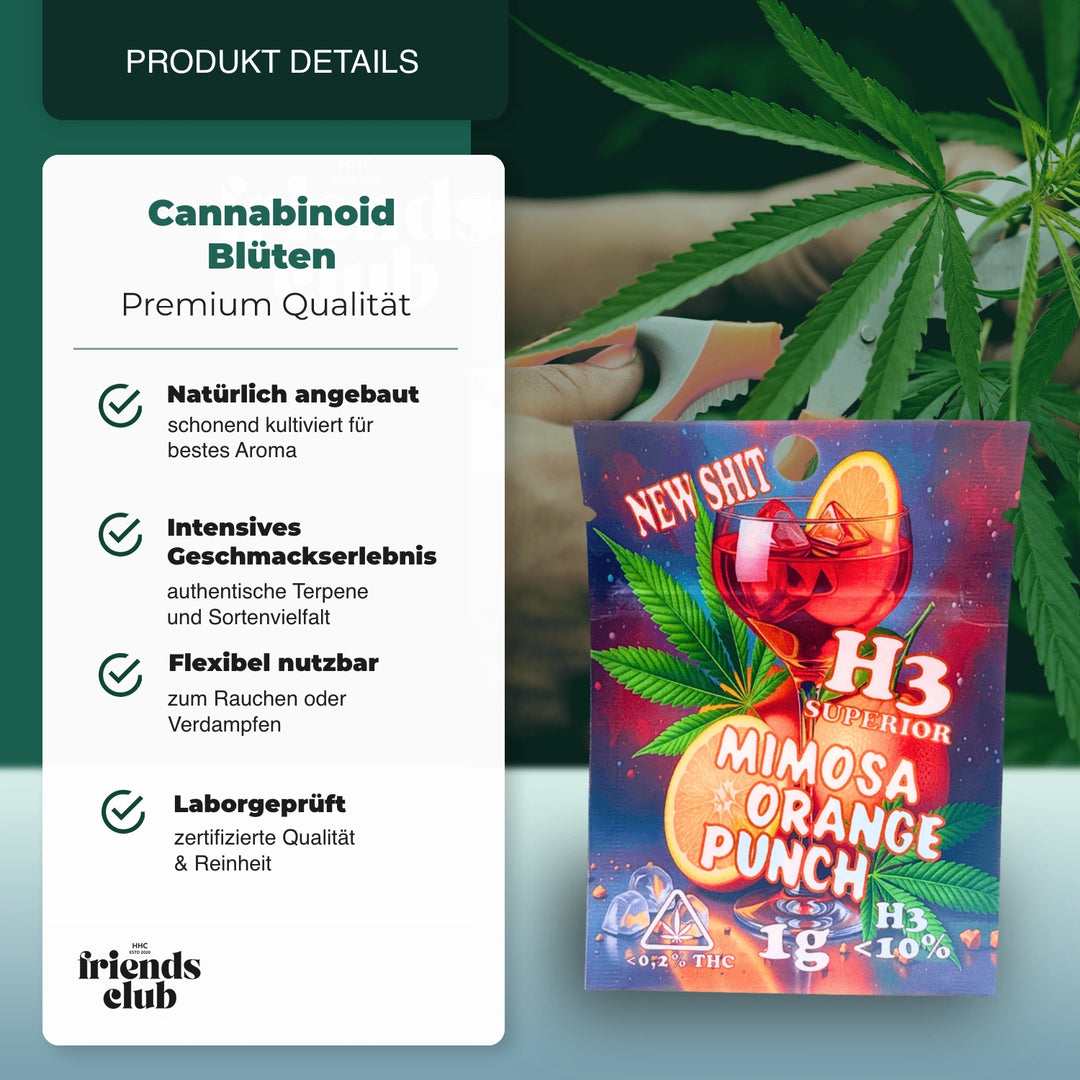 H3 Blüten Mimosa Orange Punch - hhcfriends