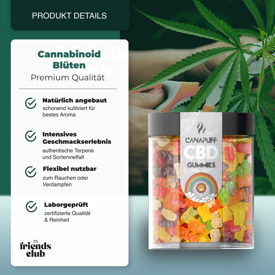 CBD Gummies Recovery 10 Stück - hhcfriends