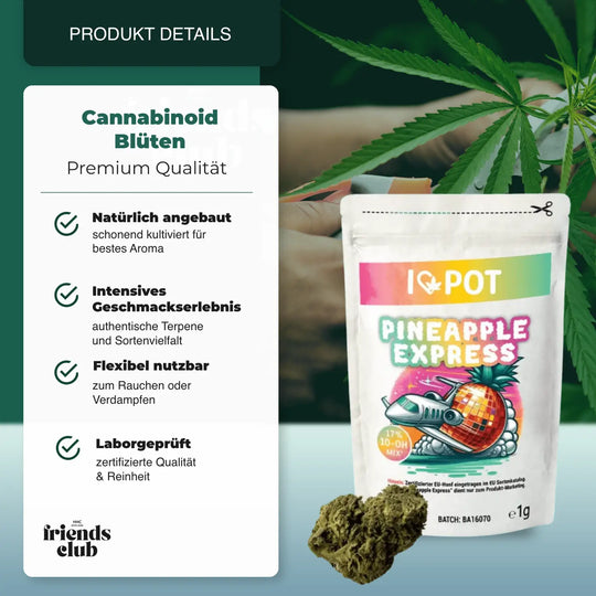 10-OH-Mix Blüten Pineapple Express - hhcfriends