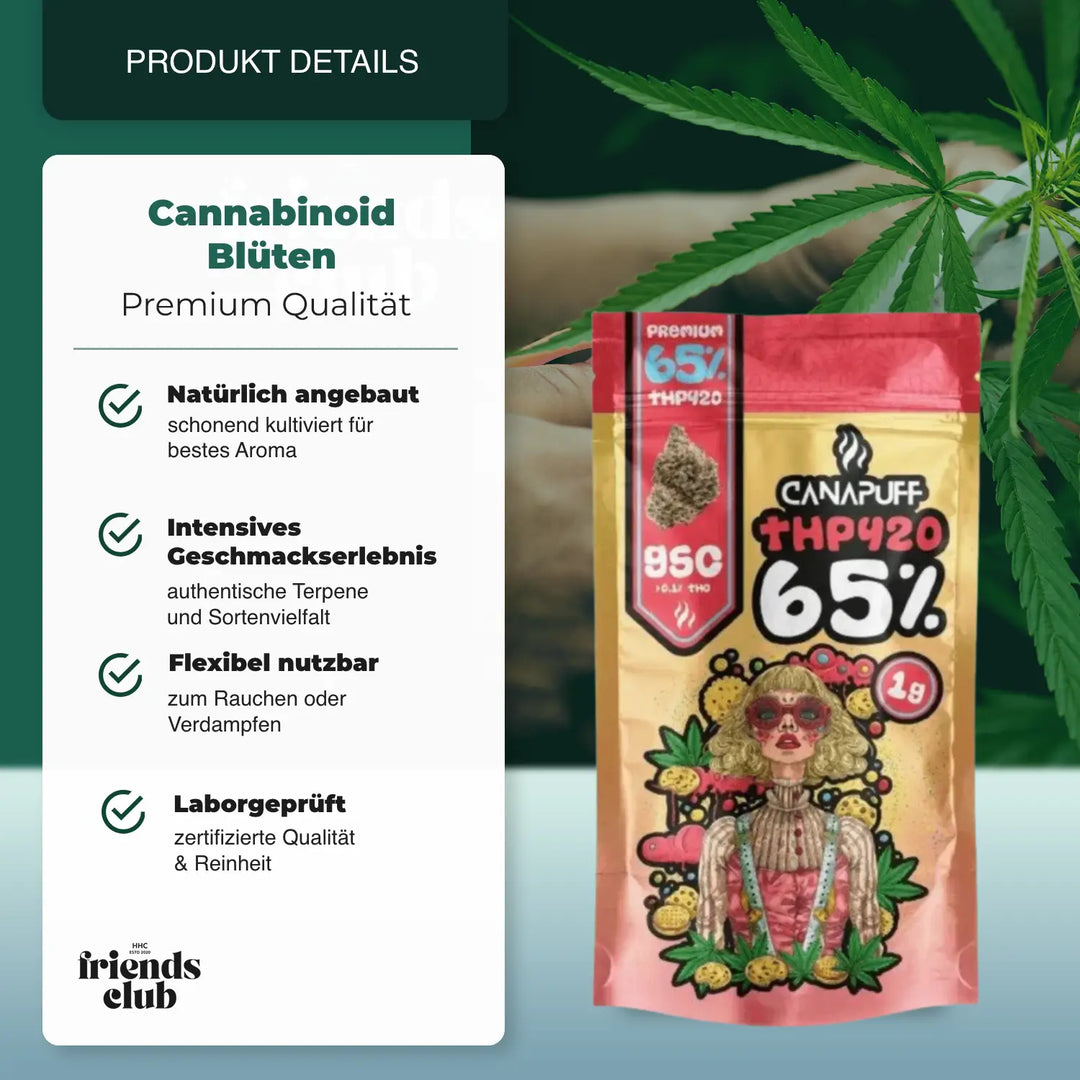 THP420 Blüten GSC 65% Canapuff - hhcfriends