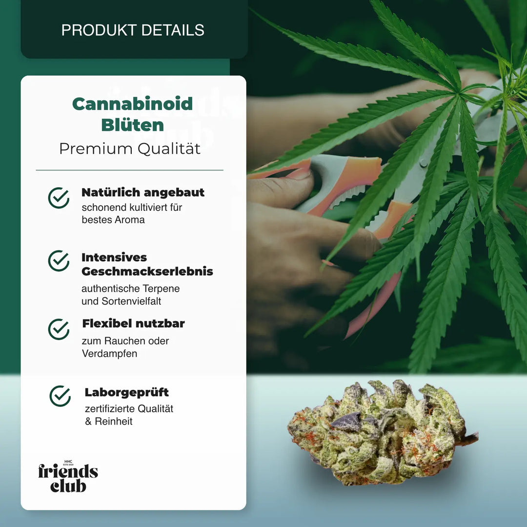 PHC Blüten Strawberry 25% - hhcfriends
