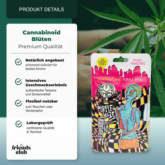 H3 Blüten Purple Haze 1g - hhcfriends