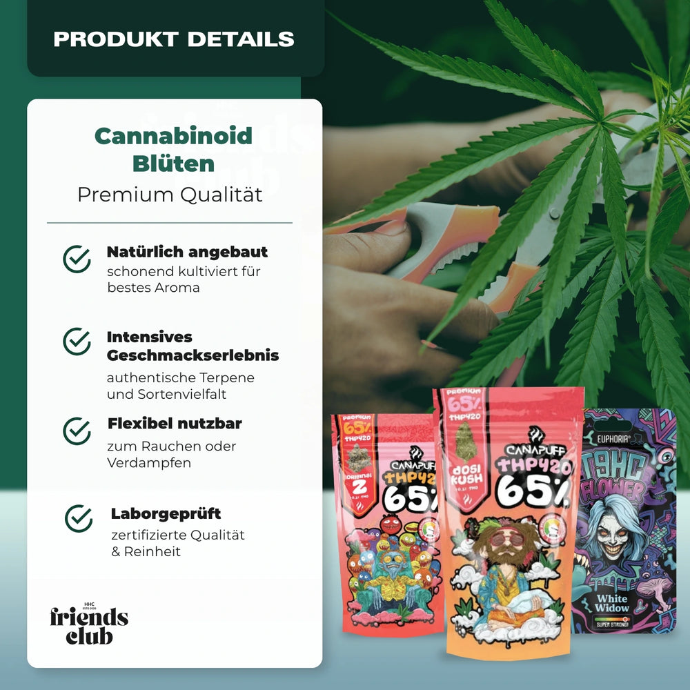 Sommer Bundle-Smagro GmbH