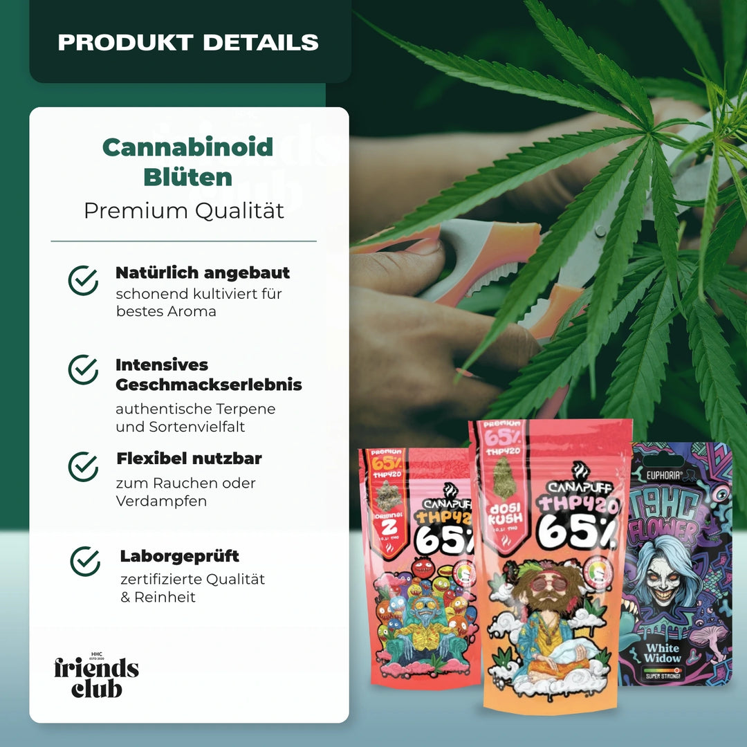 Sommer Bundle-Smagro GmbH