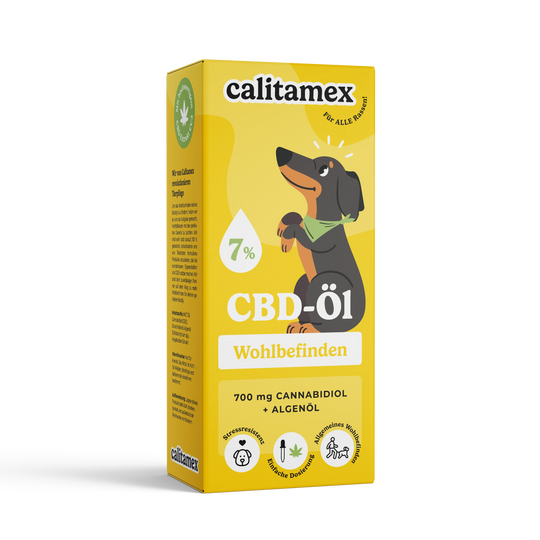 CBD-Öl Wohlbefinden für Hunde 10ml-HHCFriends