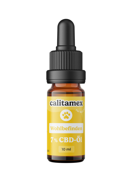 CBD-Öl Wohlbefinden für Hunde 10ml