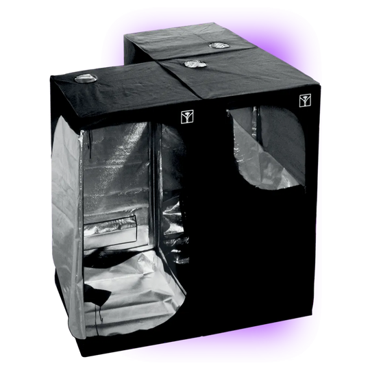 Growbox Anbaukasten Cultibox SG-Kombi 100 (100x100x200) HHCFriends