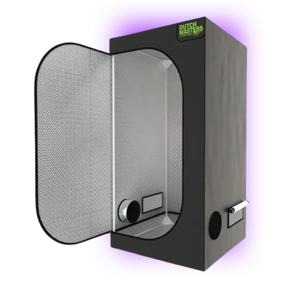 Growbox Dutch Masters Eco 240 (240 x 120 x 220 cm)-HHCFriends