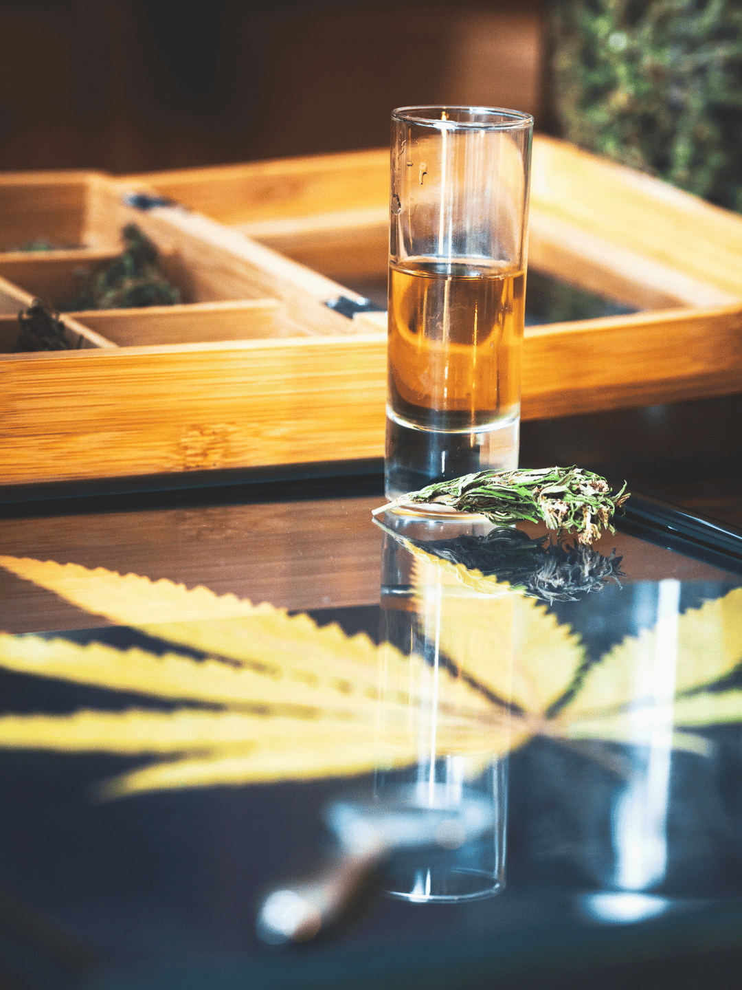 Cannabis Likör in einem Glas auf einer Theke
