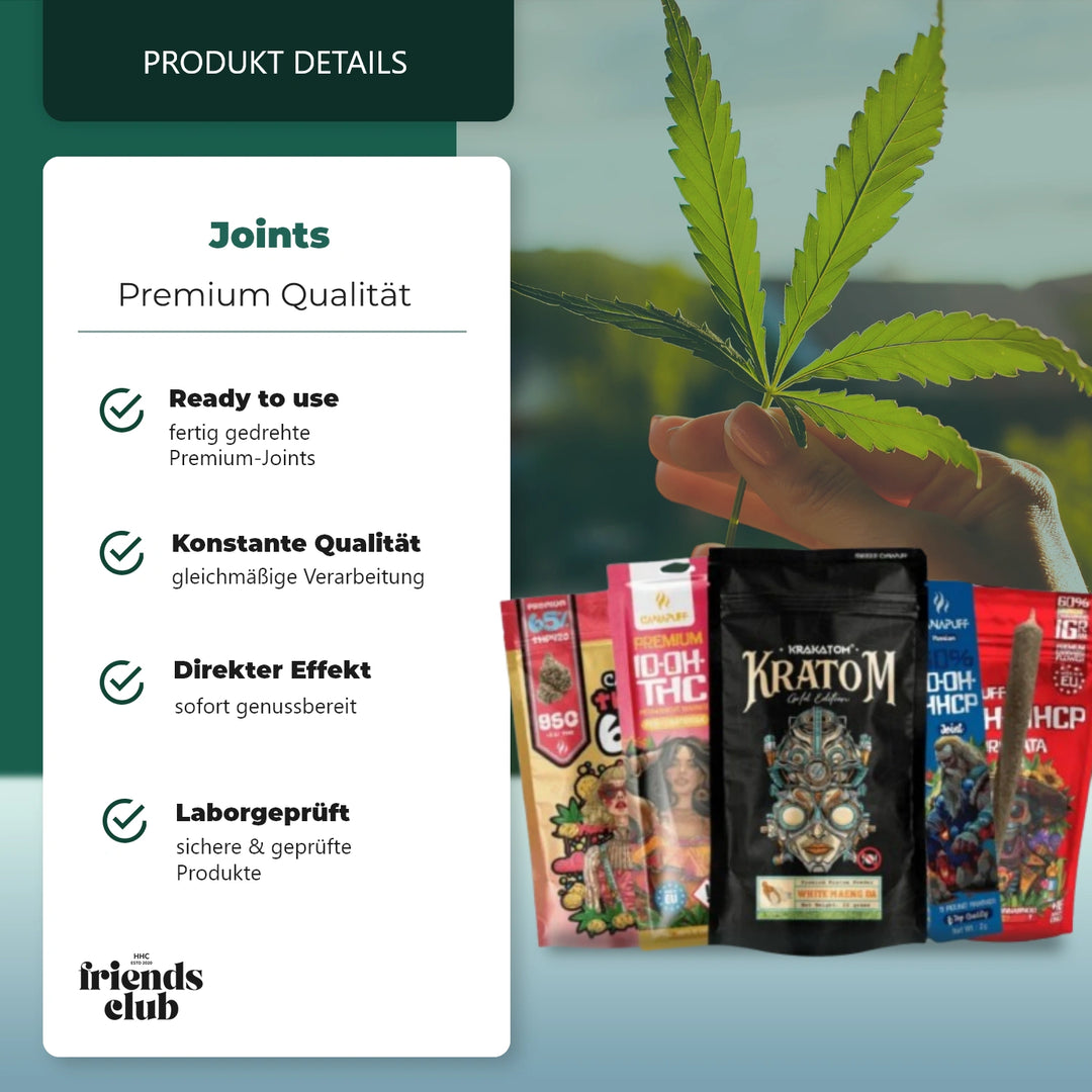 Friends Bestseller Paket