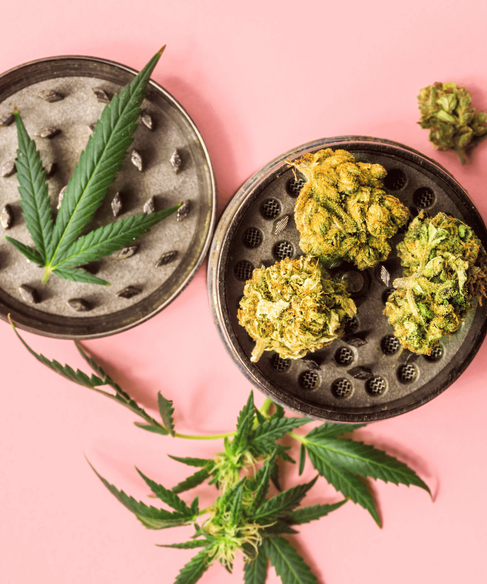 Cannabis Blüten in einem Grinder
