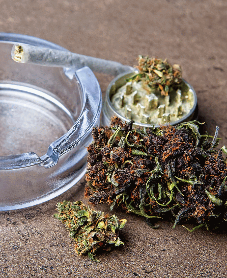 Joint im Aschenbecher, daneben Cannabis Blüte und Grinder