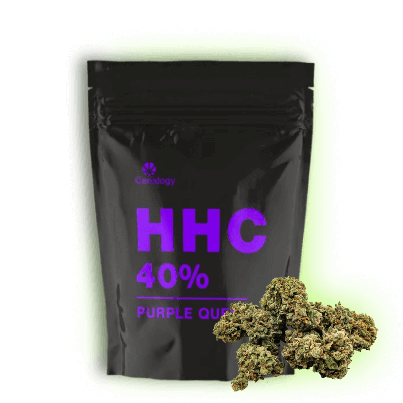 HHC Blüten Purple Queen Kaufen In Deutschland