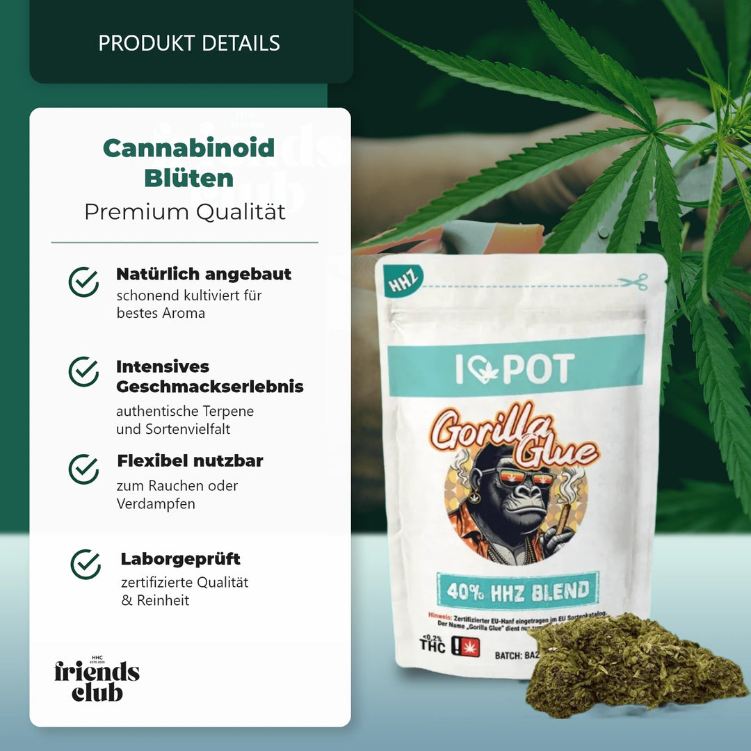 HHZ Blüte Gorilla Glue 40%