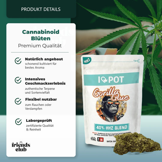 HHZ Blüte Gorilla Glue 40%