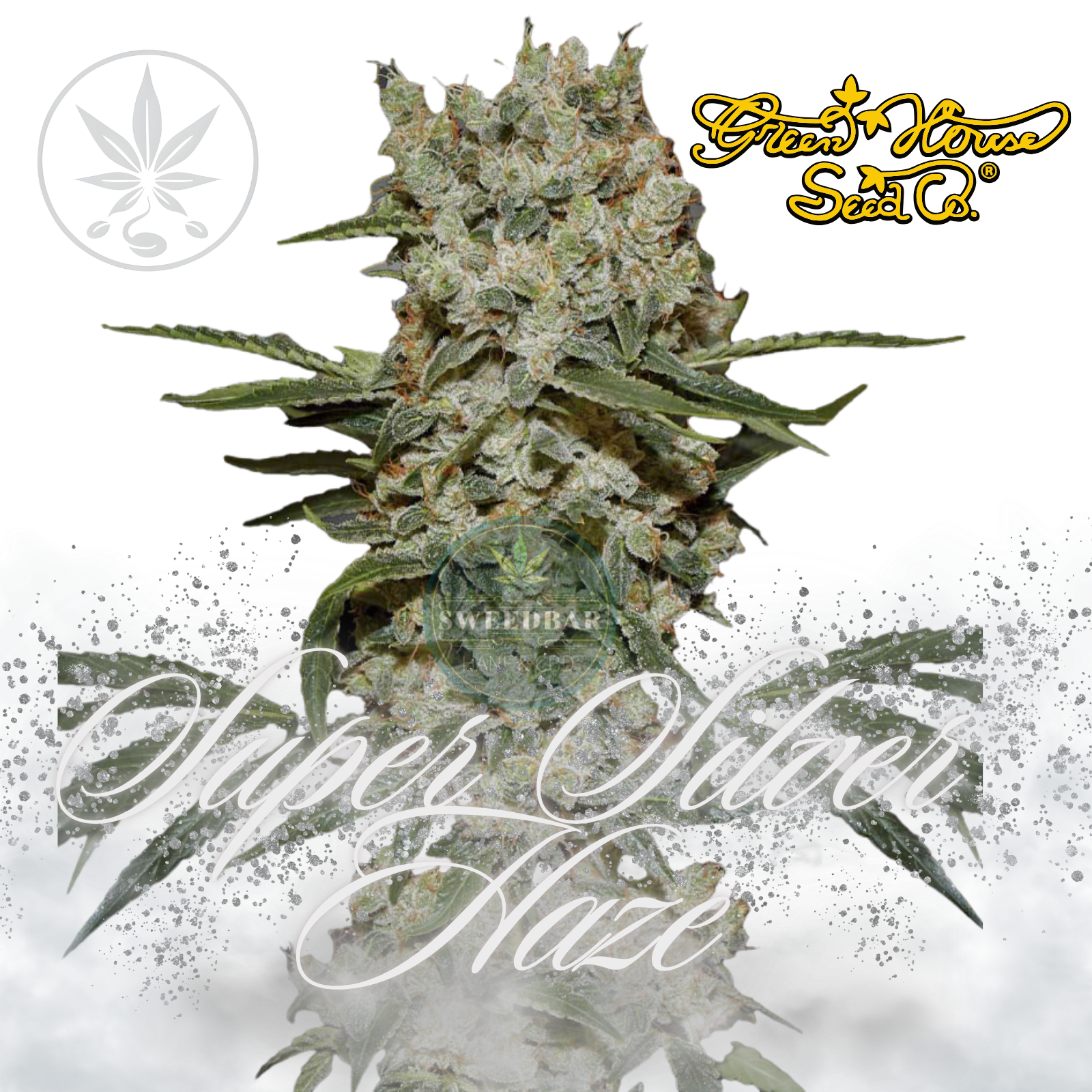 Super_Silver_Haze_-_Greenhouse_Seed.png?v=1740650952u0026width=540