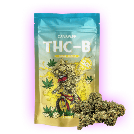 THC-B Cannabis Blüte Sugar Cookie 50%