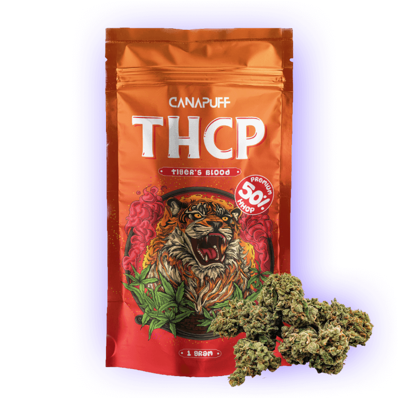 Cannabis Blüten THCp 