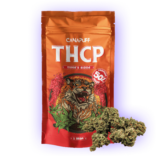 Cannabis Blüten THCp 