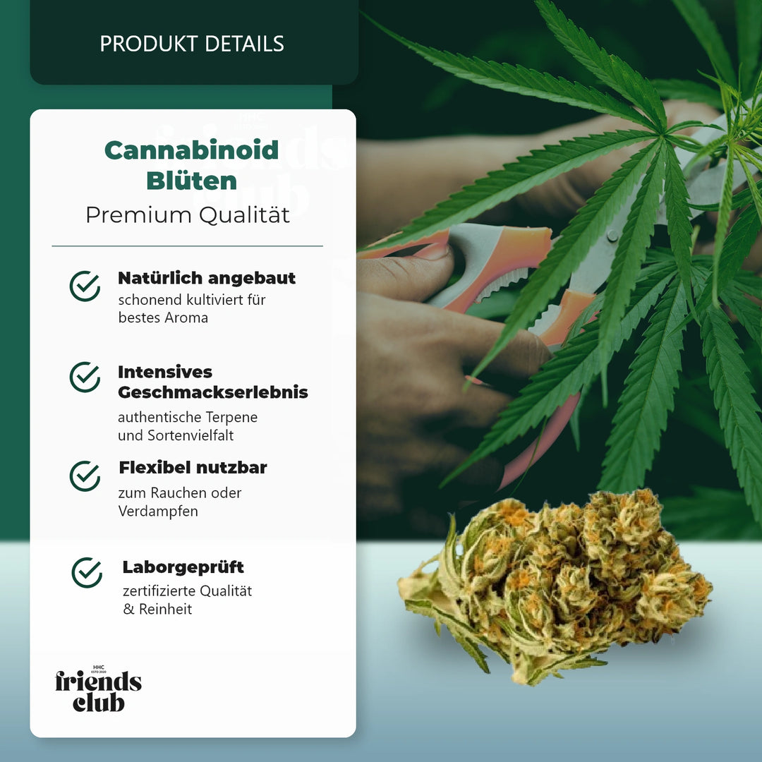 CBD Blüte Pineapple Haze THC Low