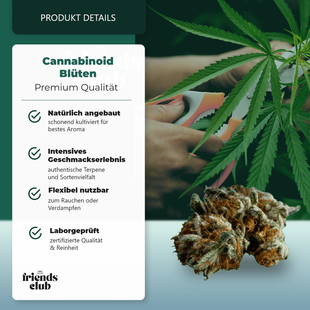 CBD Blüte Blackberry Muffin THC Low