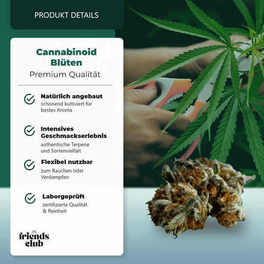 CBD Blüte Blackberry Muffin THC Low