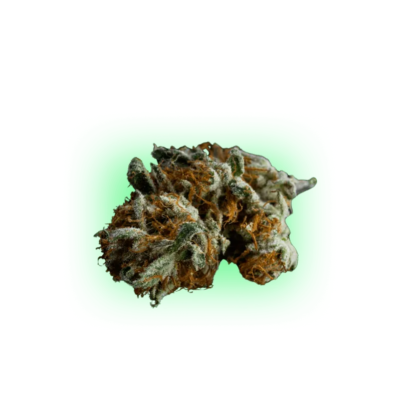 CBD Blüte Blackberry Muffin THC Low-HHCFriends