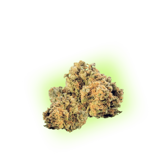 CBD Blüte Mango Kush THC Low-HHCFriends