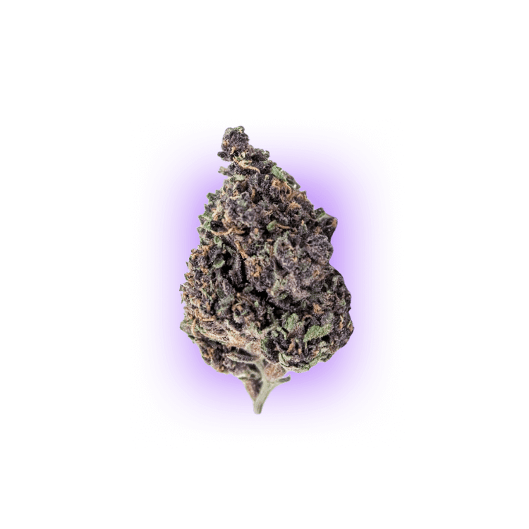 Cannabis Blüte Woche für Woche Leitfaden zur Pflege 🌱