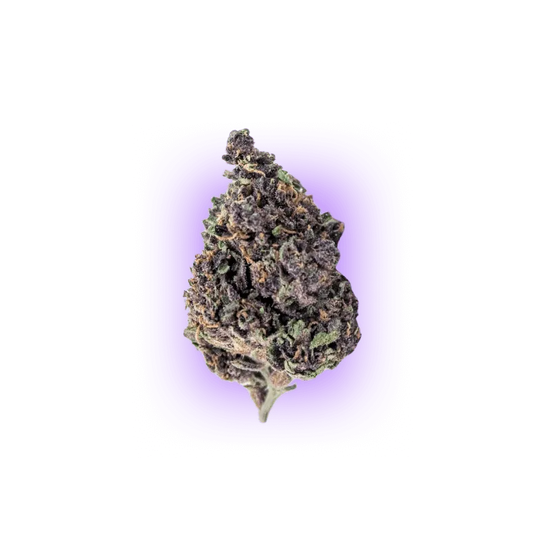 Cali Genetics Purple Milkshake 32,6% THC 🌱 3 Samen-HHCFriends