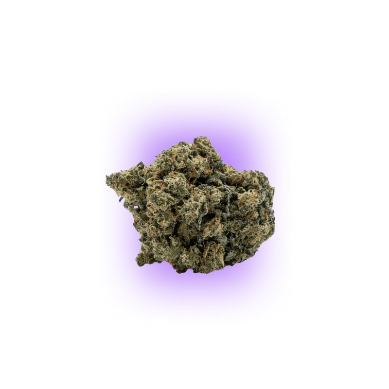 Cali Genetics Chocolate Mint OG 21,3% THC 🌱 Auto Flowering | 3 Samen-HHCFriends