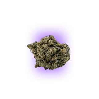 Cali Genetics Chocolate Mint OG 21,3% THC 🌱 Auto Flowering | 3 Samen