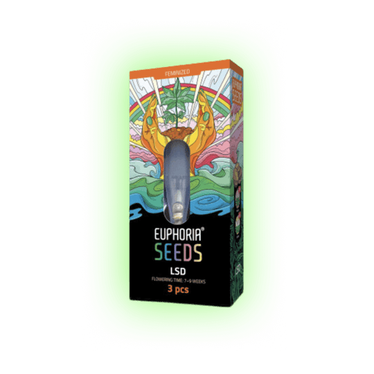 Cannabis Seeds LSD