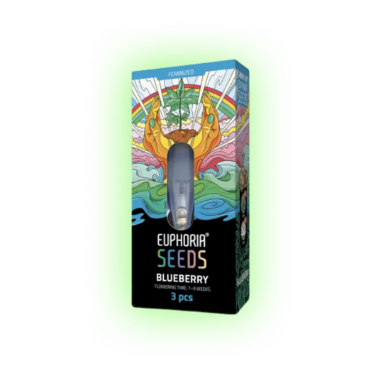 Cannabis Seeds Blueberry 3 Stück-HHCFriends