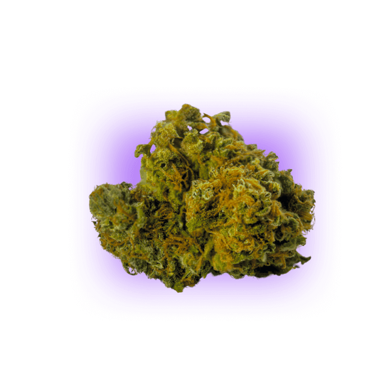Cannabis Seeds AK47 auto. 3Stück