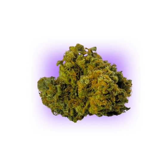 Cannabis Seeds AK47 auto. 3Stück-HHCFriends