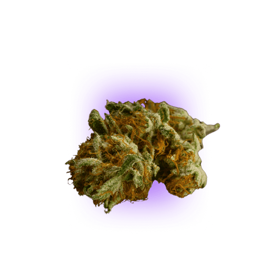 Cannabissamen Cali Genetics GMO Rootbeer - Schnellblühend