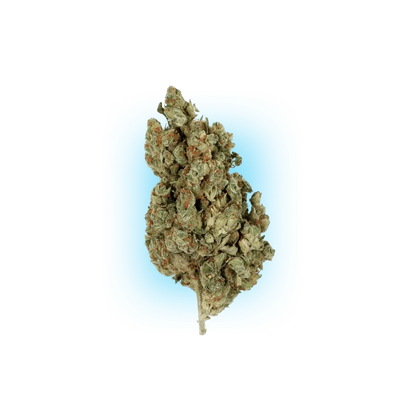 Cannabis Seeds Runtz x Amnesia 3 Stück