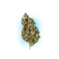 Cannabis Seeds Runtz x Amnesia 3 Stück-HHCFriends