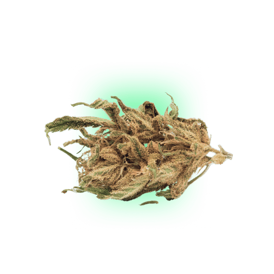 Cannabis Seeds Somango auto. 3Stück 
