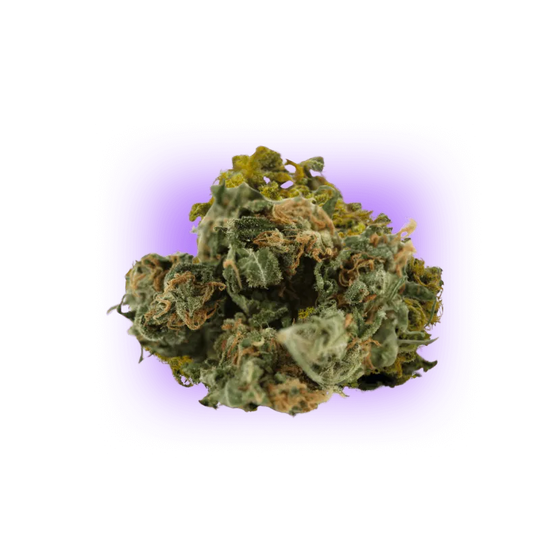 Cannabis Seeds Super Skunk auto. 3Stück-HHCFriends